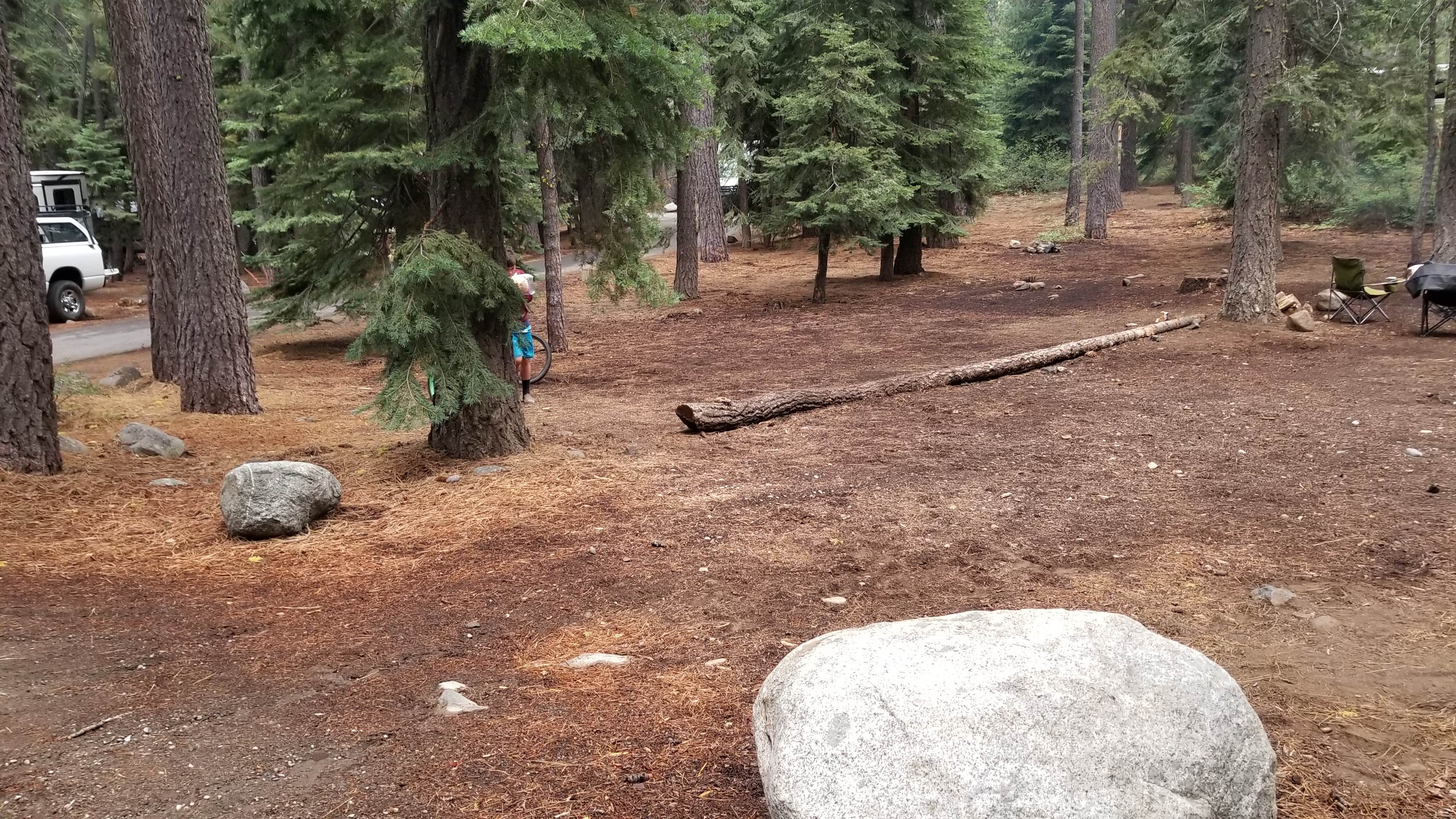 Camper-submitted photo at William Kent Campground near Glenbrook, NV