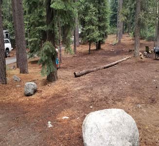 Camper-submitted photo from General Creek Campground — Ed Z'Berg Sugar Pine Point State Park