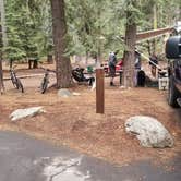 Review photo of William Kent Campground by Stacie L., August 15, 2020