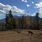 Review photo of Cascade-Chipita Park/Woodland Park by Brooke H., August 15, 2020