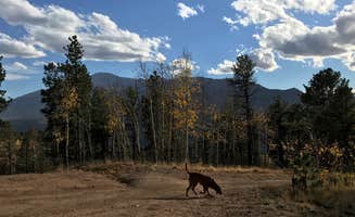 Brooke H.'s photo of camping with pets at Cascade-Chipita Park/Woodland Park near Woodland Park, CO