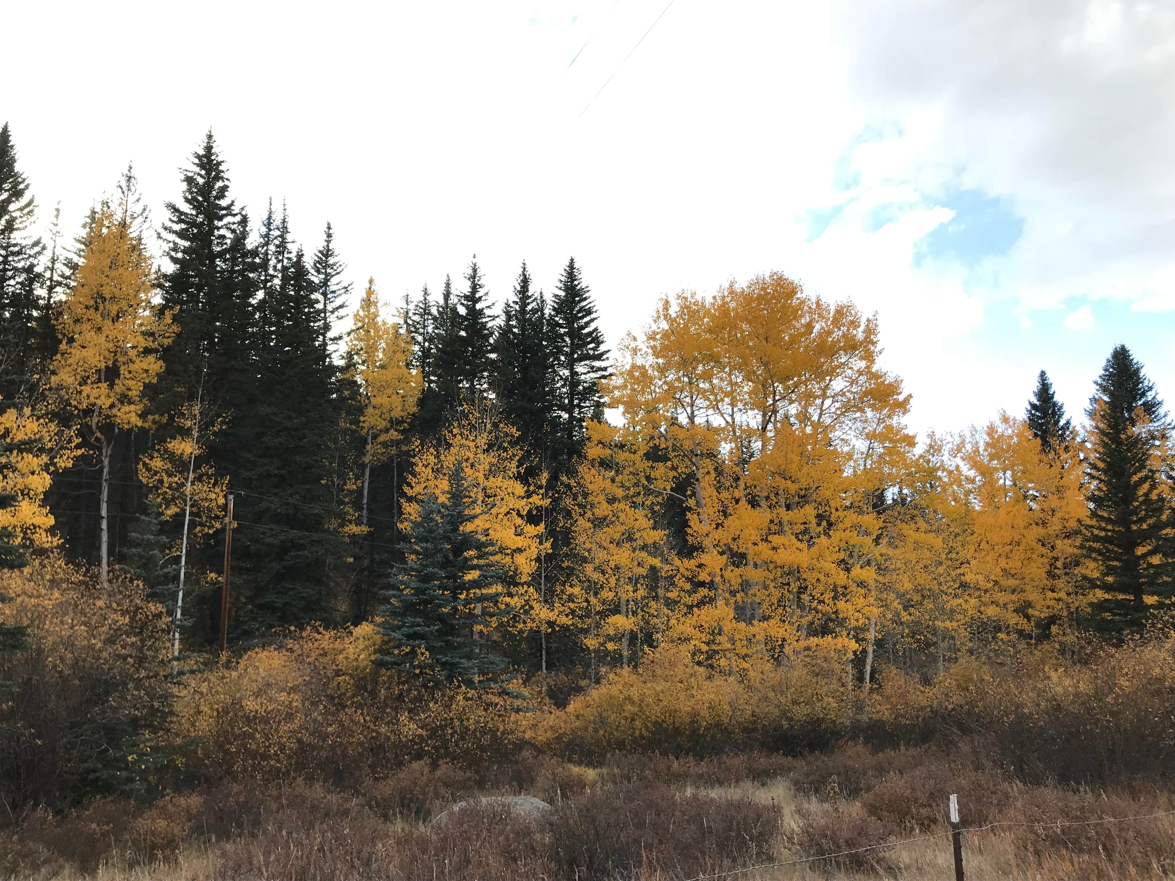 Cascade-Chipita Park/Woodland Park