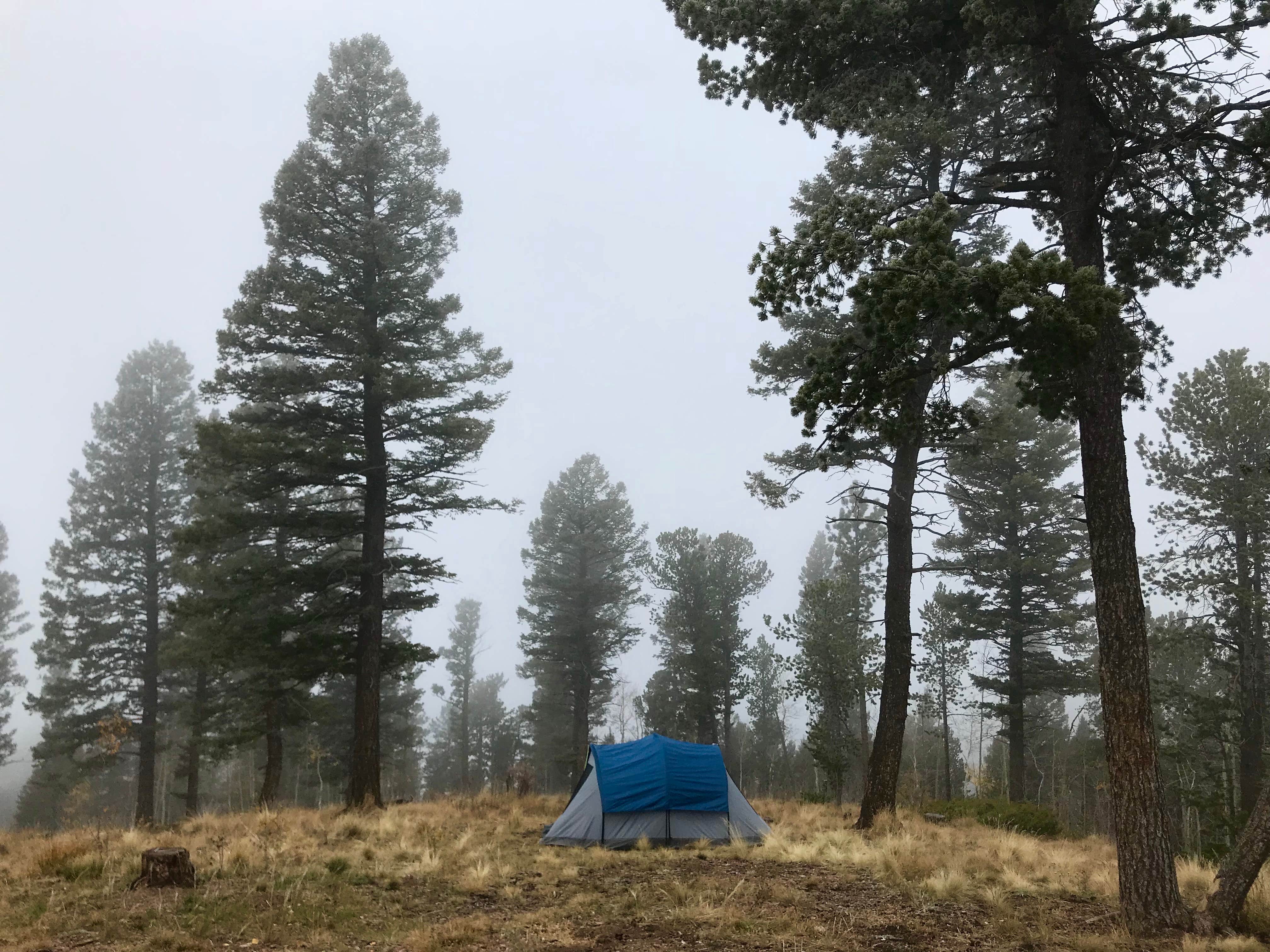 Brooke H.'s photo at Cascade-Chipita Park/Woodland Park near Green Mountain Falls, CO