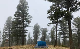 Brooke H.'s photo at Cascade-Chipita Park/Woodland Park near Green Mountain Falls, CO