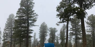 Camping