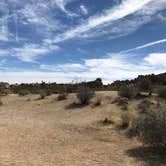 Review photo of Jumbo Rocks Campground — Joshua Tree National Park by Kayla M., April 28, 2018
