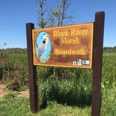 Review photo of Kohler-Andrae State Park by Kathie M., August 15, 2020
