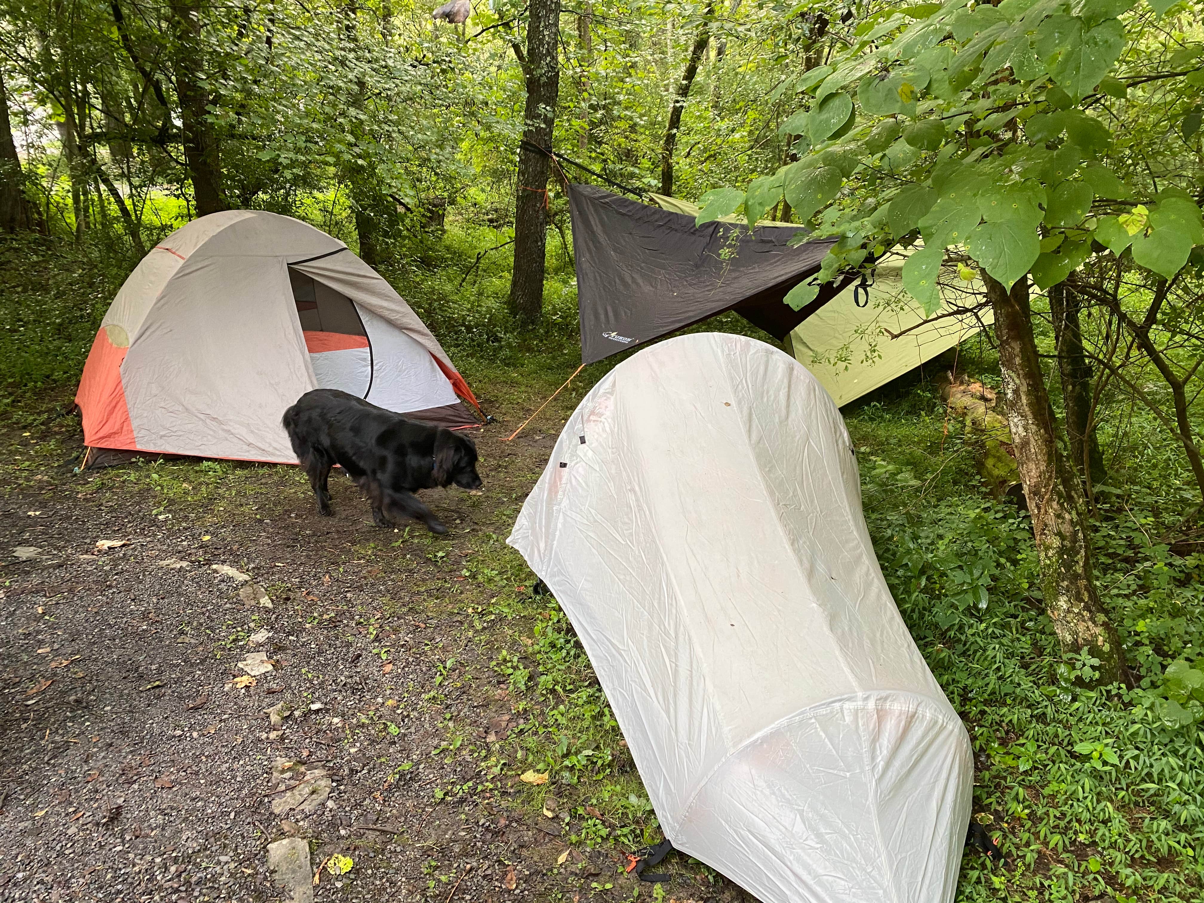 Jesse S.'s photo at Stony Fork Campground near Wytheville, VA