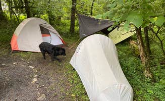 Jesse S.'s photo at Stony Fork Campground near Bluefield, VA