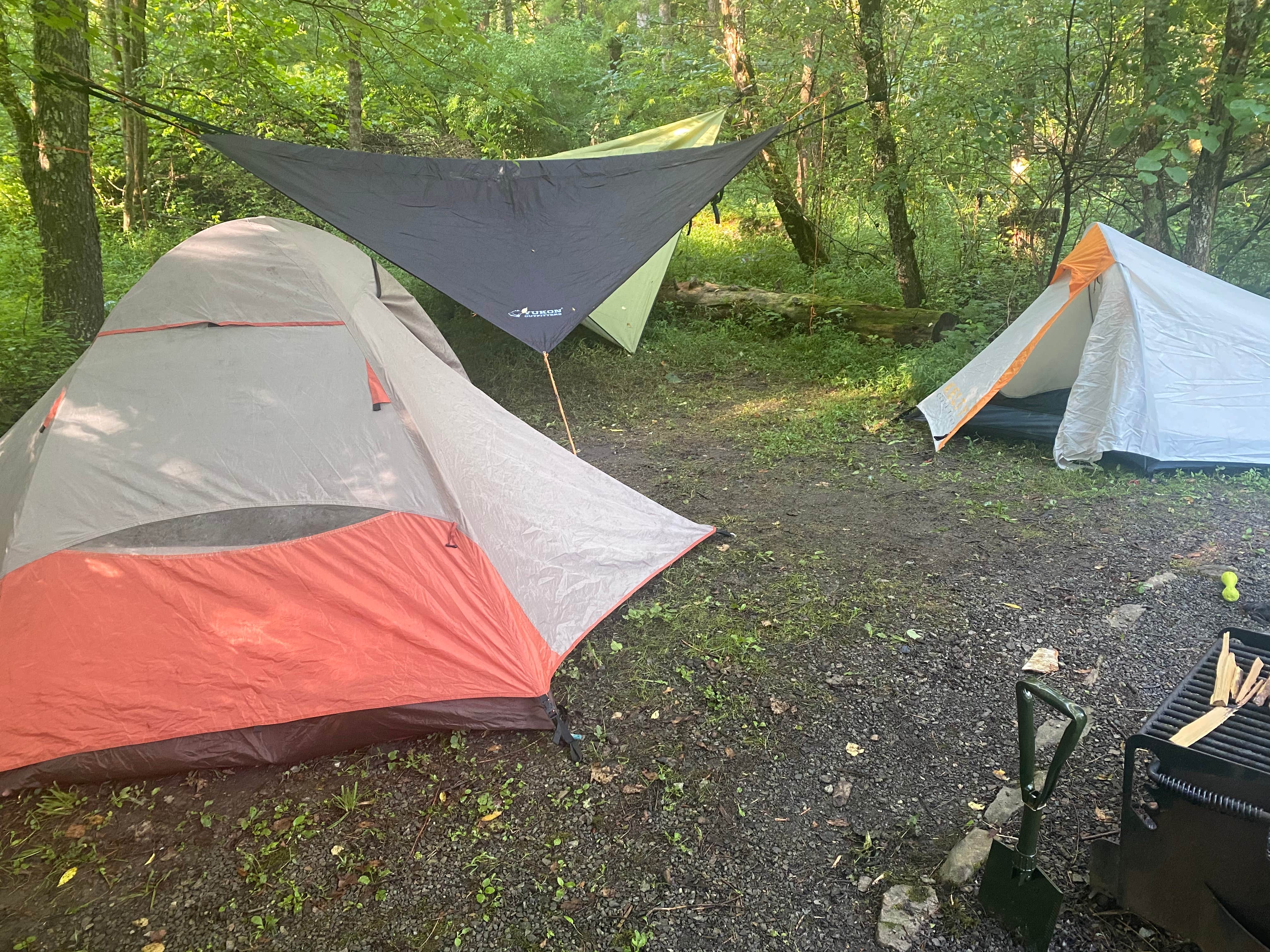 Jesse S.'s photo at Stony Fork Campground near Speedwell, VA