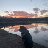 Review photo of Grant Village Campground — Yellowstone National Park by Vanessa H., August 15, 2020