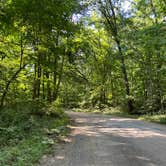 Review photo of Yough Lake Campground at Tub Run by Laurel K., August 15, 2020