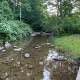 Review photo of Yough Lake Campground at Tub Run by Laurel K., August 15, 2020