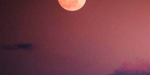 Camper submitted image from North Marcum Day Use Area