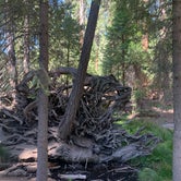 Review photo of Redwood Meadow by Vanessa H., August 15, 2020