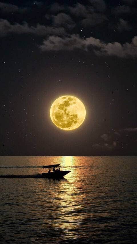 Camper-submitted photo at Crab Orchard Lake Crab Orchard NWR near Whittington, IL