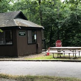 Review photo of Rocky Neck State Park Campground by Nita D., August 15, 2020