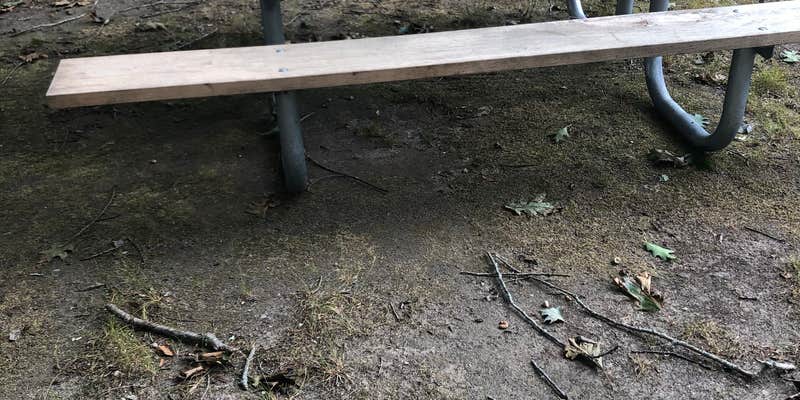 Camper submitted image from Rocky Neck State Park Campground