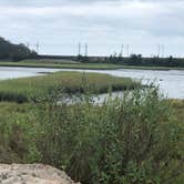 Review photo of Rocky Neck State Park Campground by Nita D., August 15, 2020