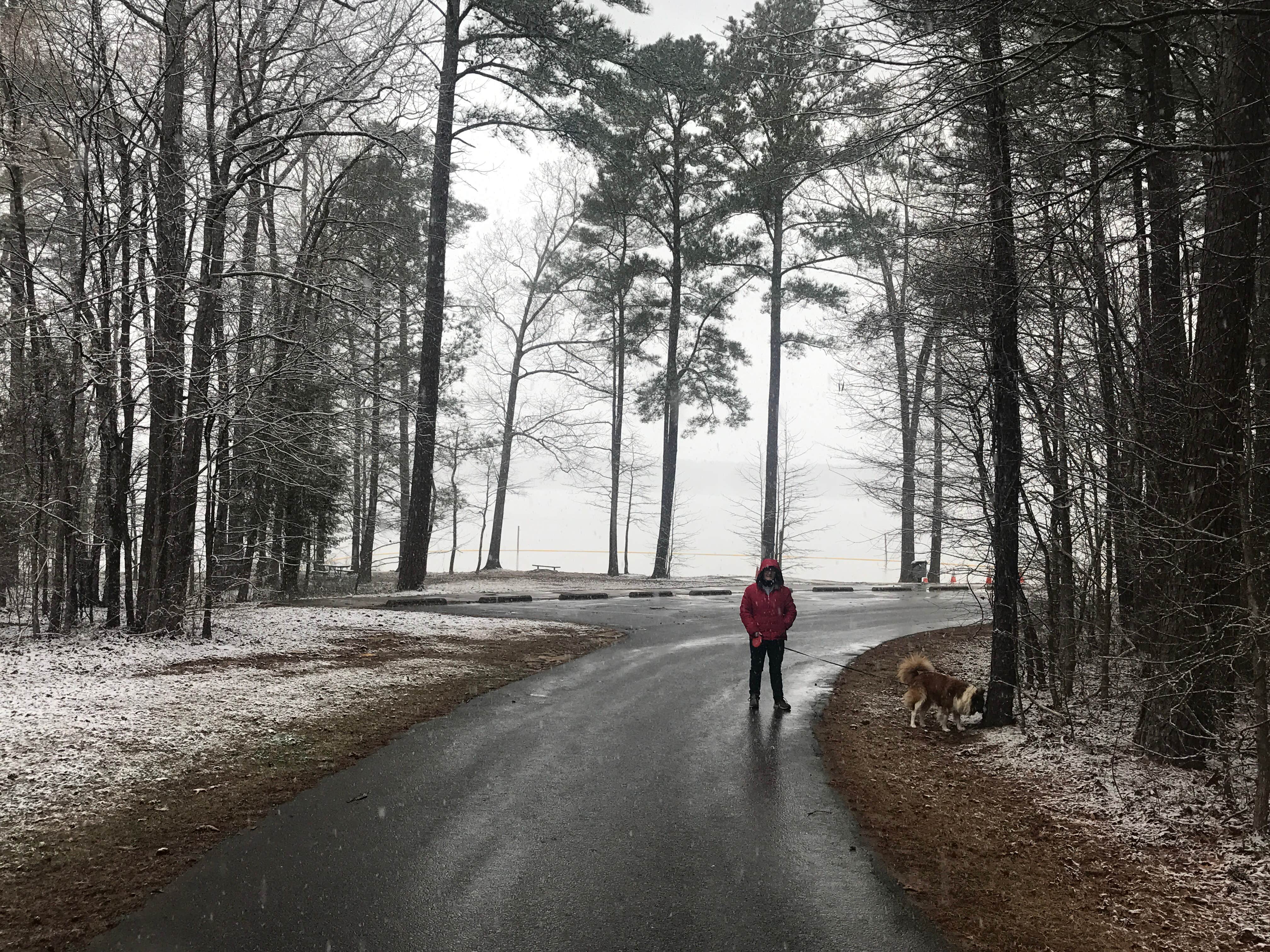 Timothy W.'s photo of camping with pets at Crosswinds Campground — Jordan Lake State Recreation Area near Garner, NC