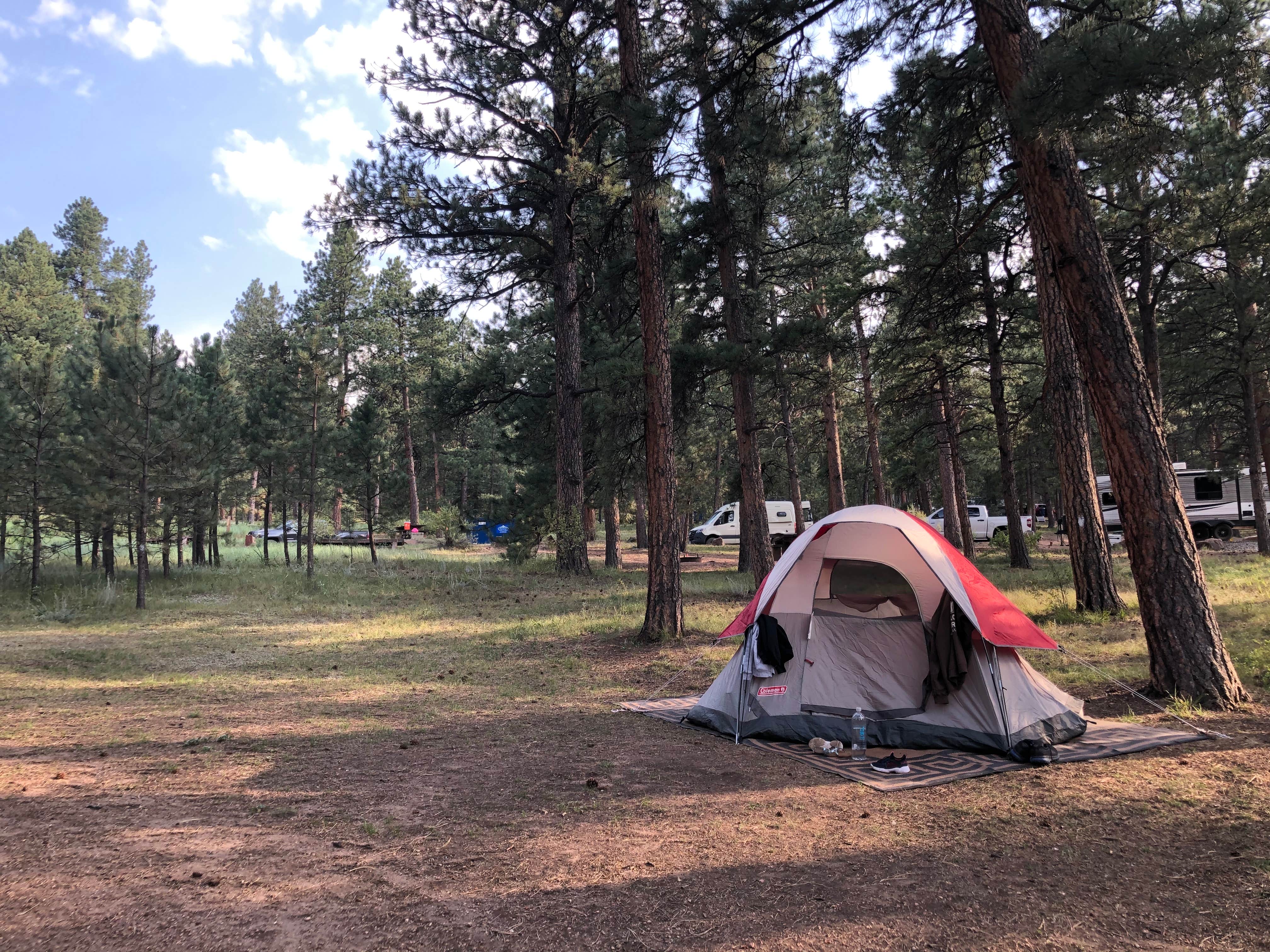 Joseph D.'s photo at Buffalo Campground near Conifer, CO