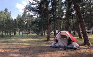 Joseph D.'s photo at Buffalo Campground near Bailey, CO