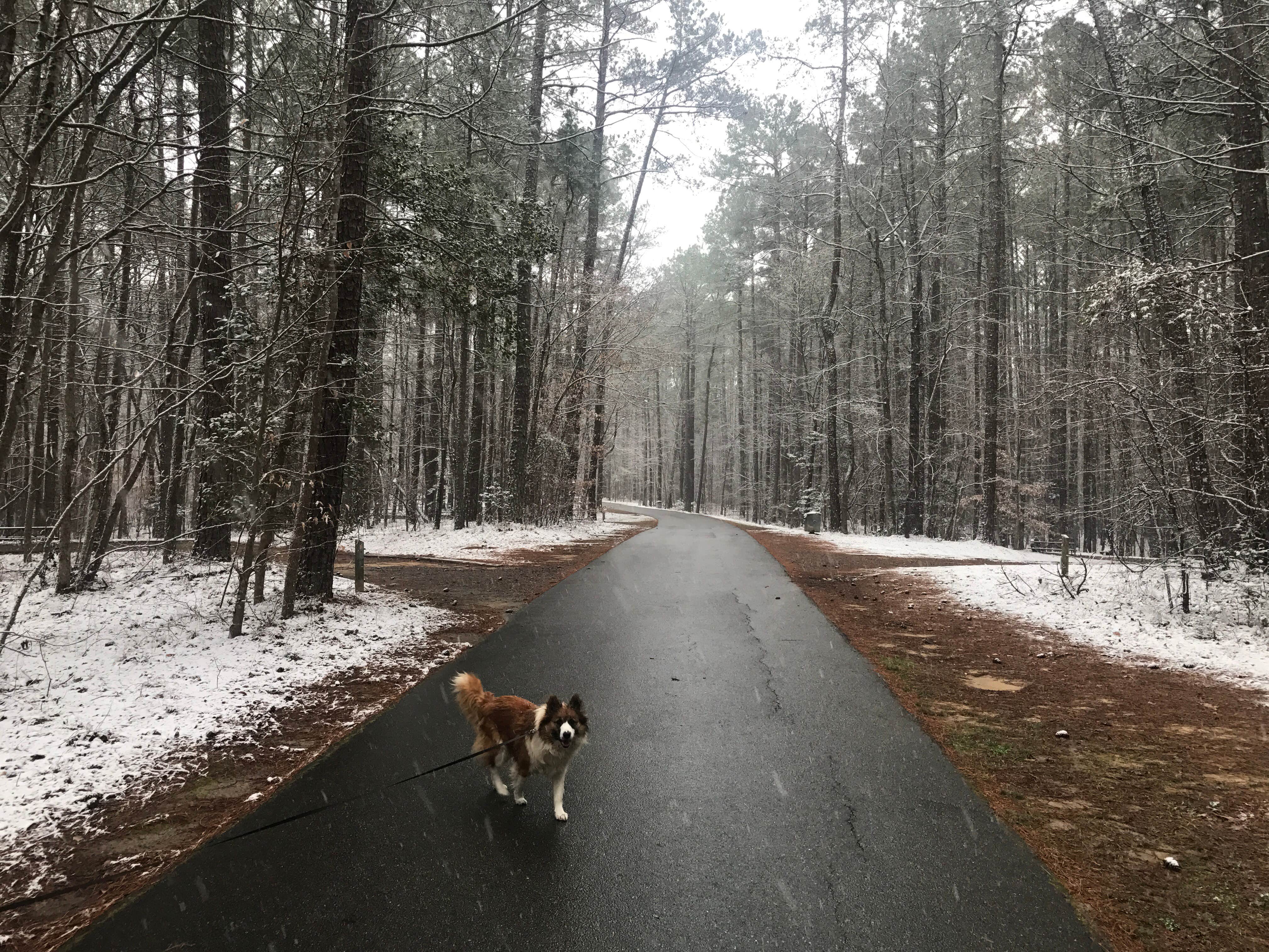 Camper-submitted photo at Crosswinds Campground — Jordan Lake State Recreation Area near Wake Forest, NC