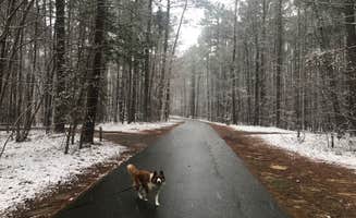 Timothy W.'s photo of camping with pets at Crosswinds Campground — Jordan Lake State Recreation Area near Garner, NC