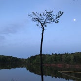 Review photo of Holly Point — Falls Lake State Recreation Area by Timothy W., April 29, 2018