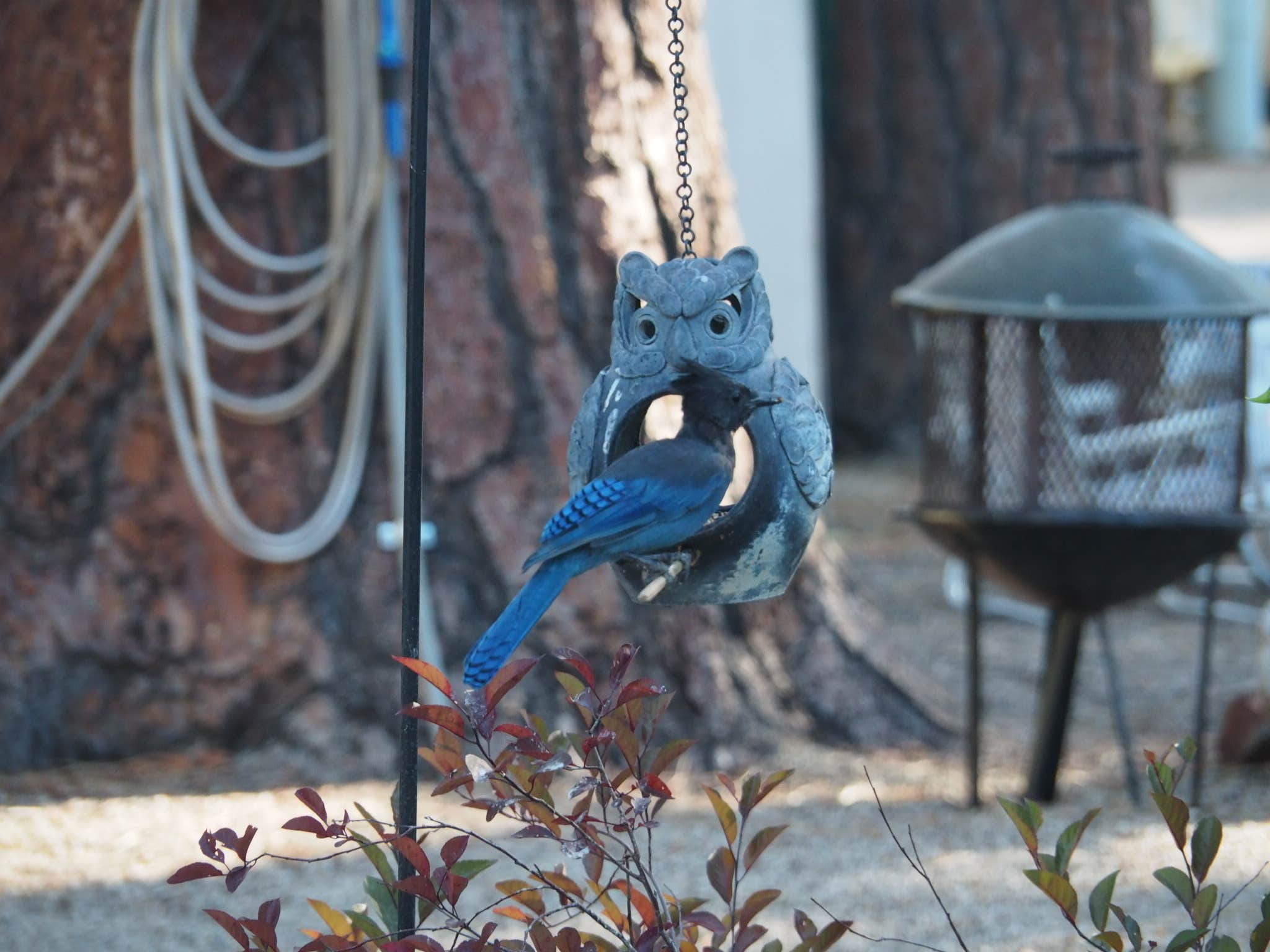 Camper-submitted photo at Lighthouse Trailer Resort & Marina near Cedarpines Park, CA