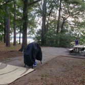 Review photo of Millers Ferry Campground by Robert  A., August 15, 2020