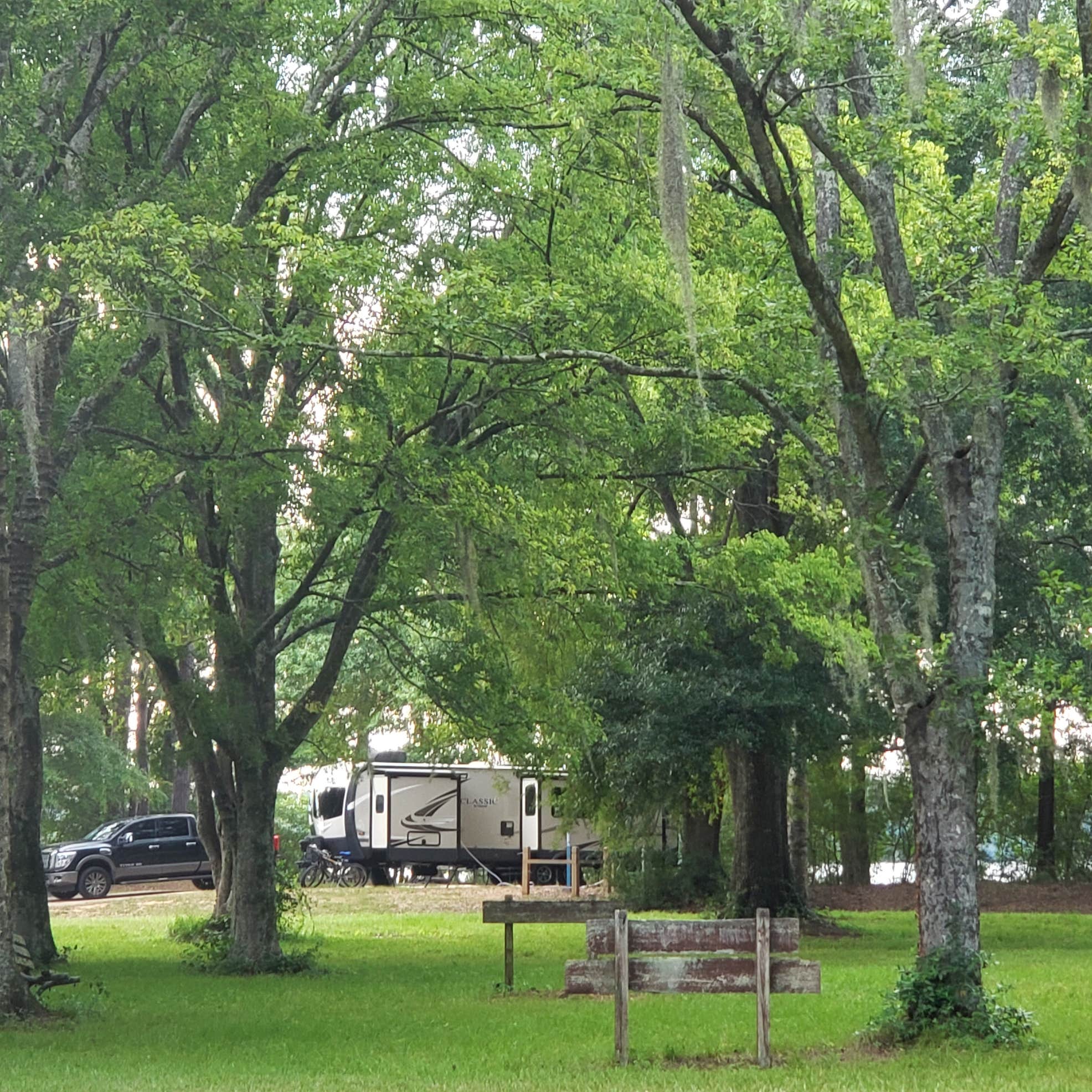 Millers Ferry Campground Camping The Dyrt