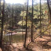 Review photo of Poplar Point Campground — Jordan Lake State Recreation Area by Timothy W., April 29, 2018
