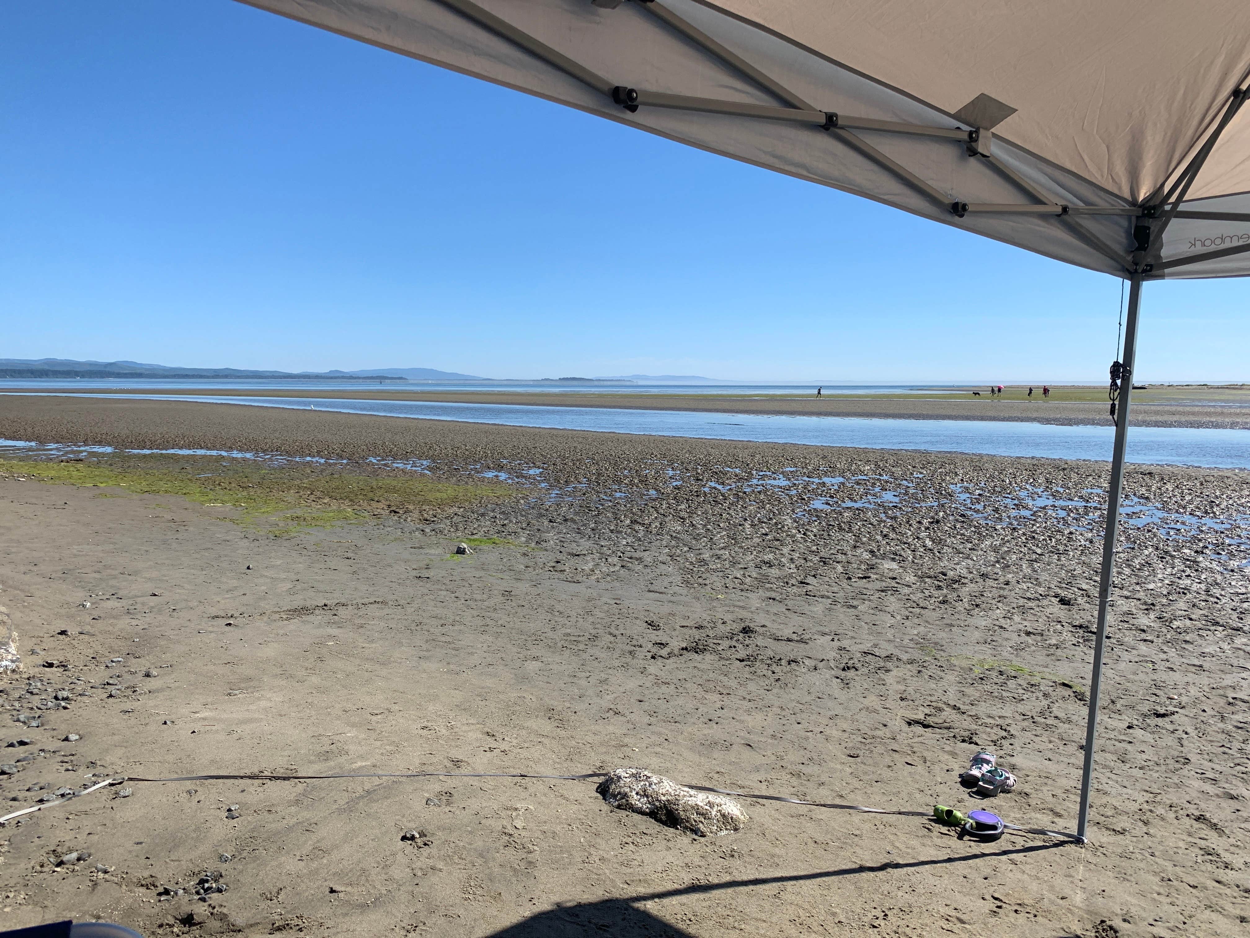 Camper submitted image from Bayshore RV Park & Guest Suites - 2
