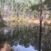 Review photo of Poplar Point Campground — Jordan Lake State Recreation Area by Timothy W., April 29, 2018