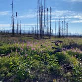 Review photo of Kelly Lake Campground by Tanya B., August 15, 2020