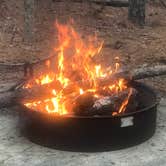 Review photo of Poplar Point Campground — Jordan Lake State Recreation Area by Timothy W., April 29, 2018