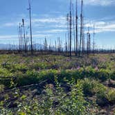 Review photo of Kelly Lake Campground by Tanya B., August 15, 2020