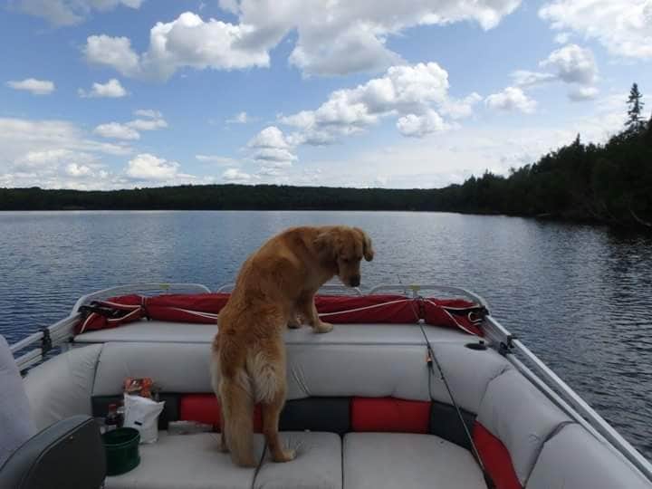Susan F.'s photo of camping with pets at Lake Ottawa Campground — Ottawa National Forest near Watersmeet, MI