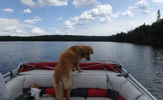 Susan F.'s photo of camping with pets at Lake Ottawa Campground — Ottawa National Forest near Crystal Falls, MI