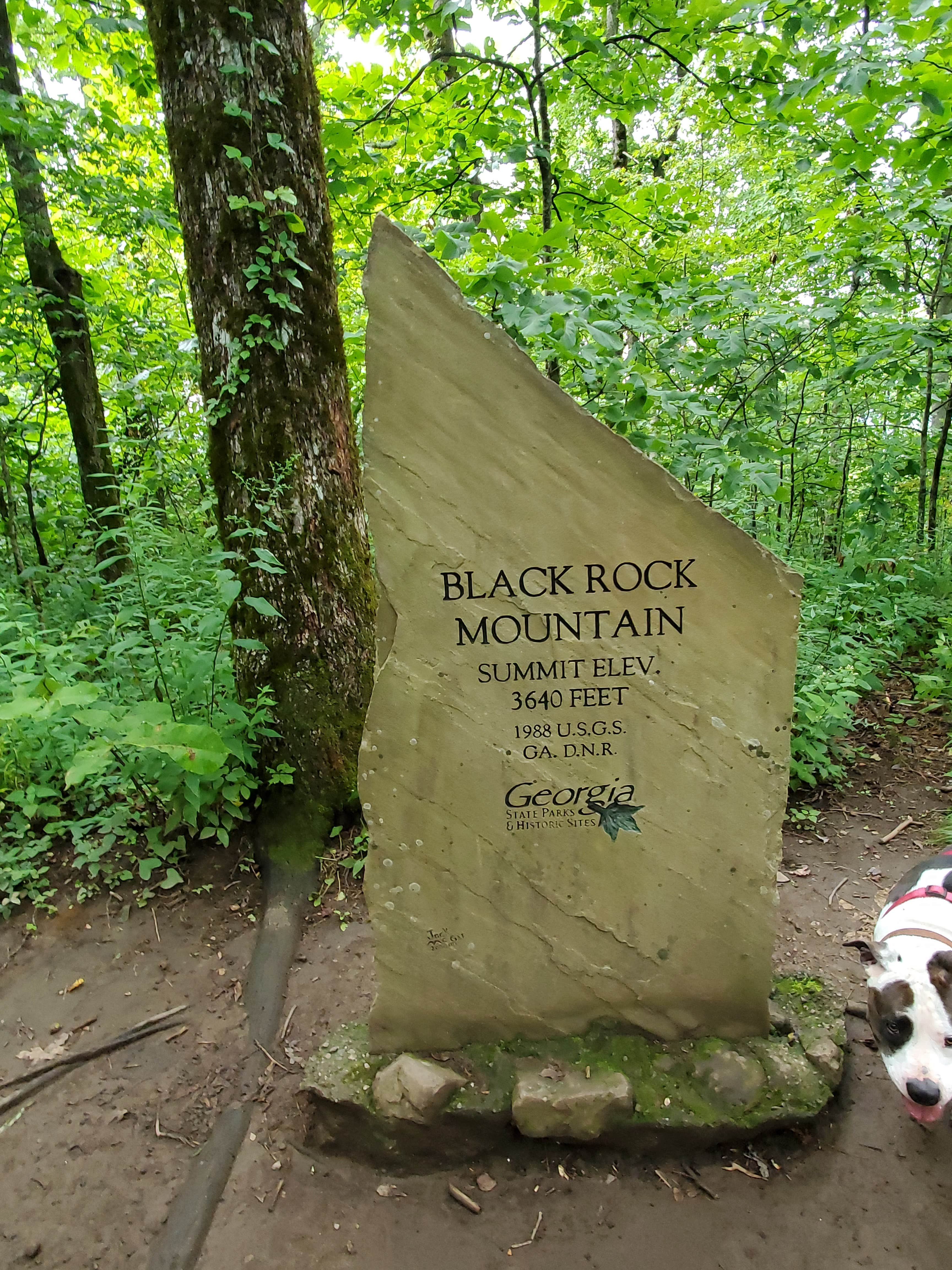 Lynn N Alex S.'s photo of camping with pets at Black Rock Mountain State Park Campground near Tiger, GA
