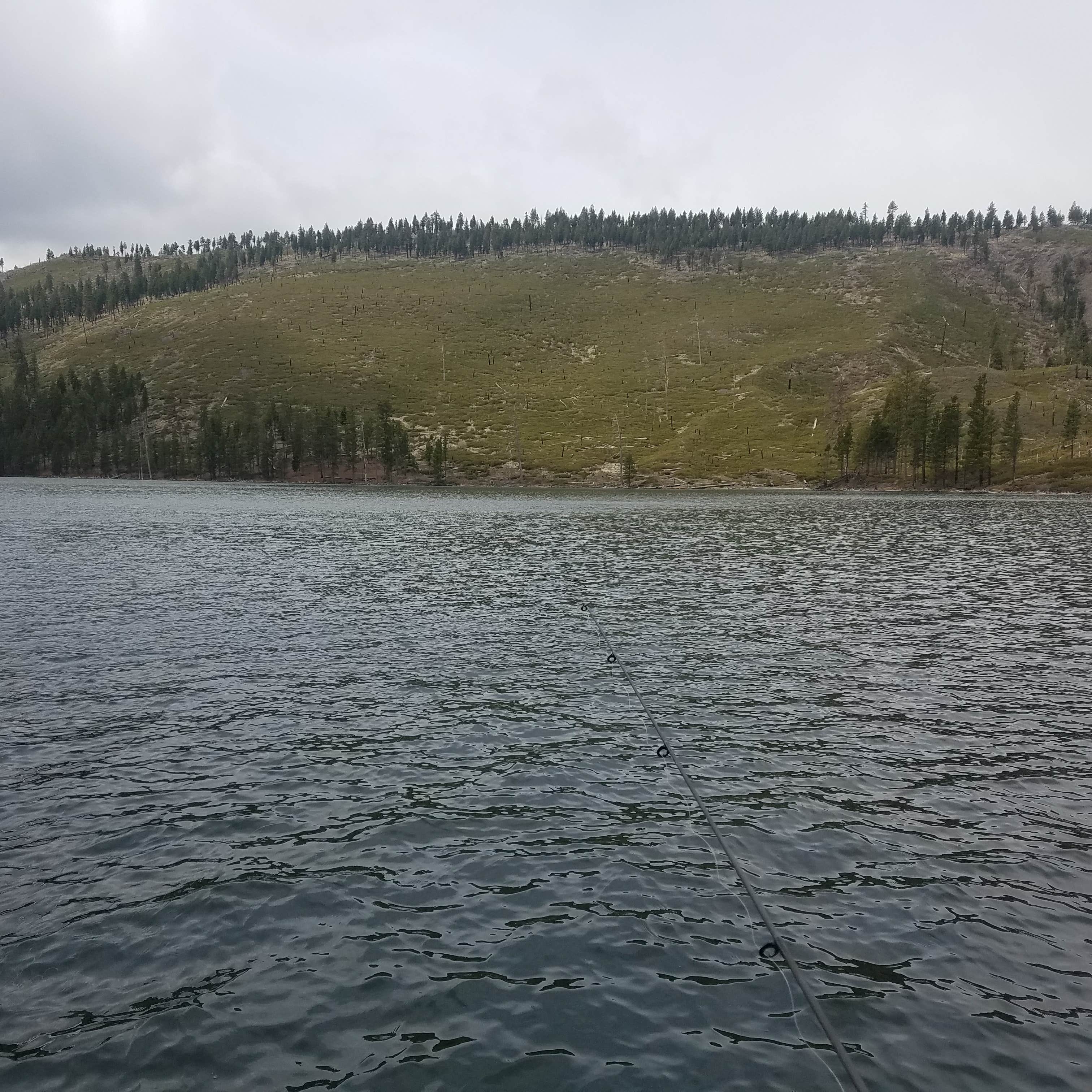 Blue Lake Campground Camping The Dyrt