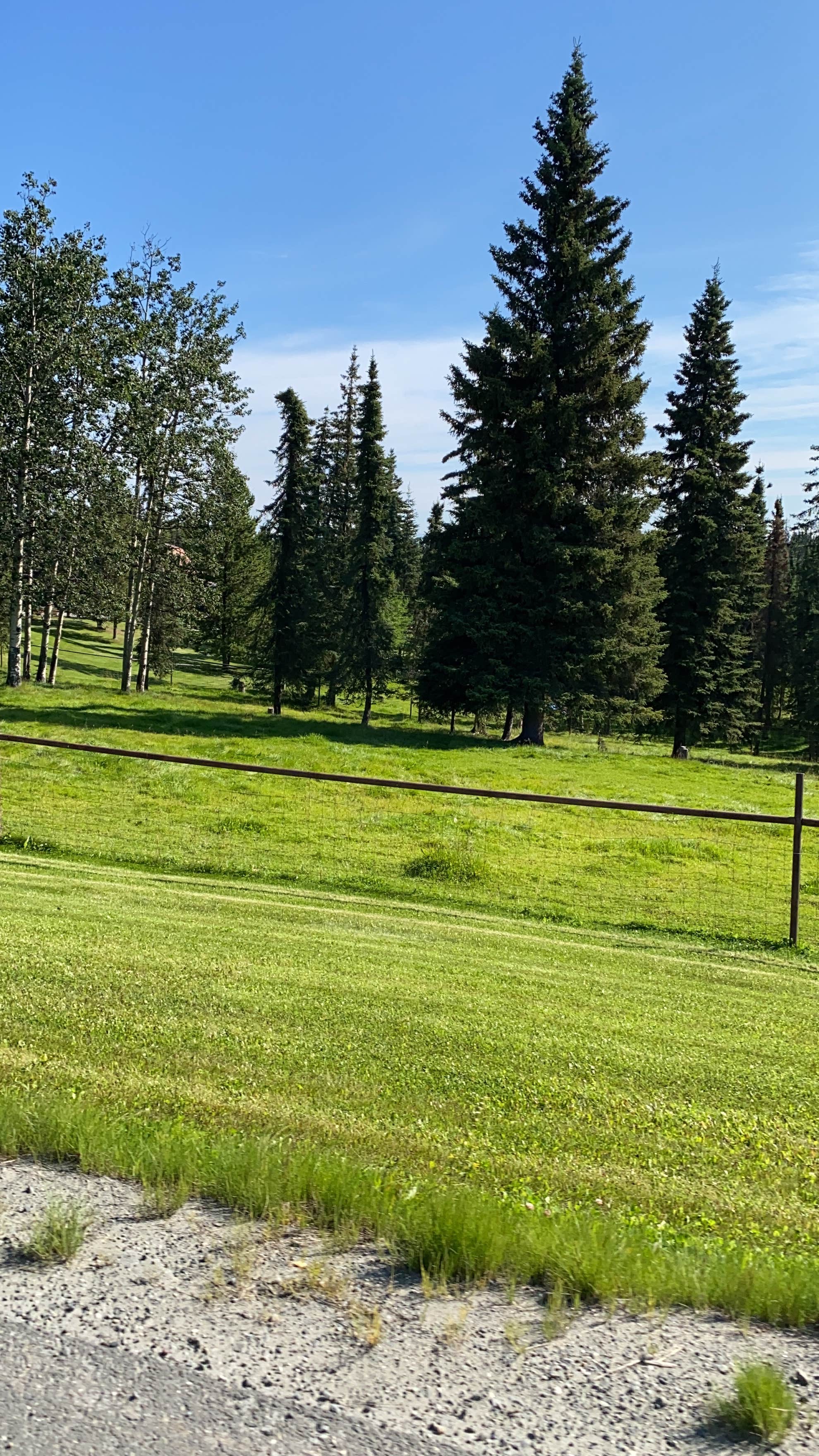 Camping near Discovery Campground Capt. Cook State Park Campground: Jana House, Soldotna, Alaska