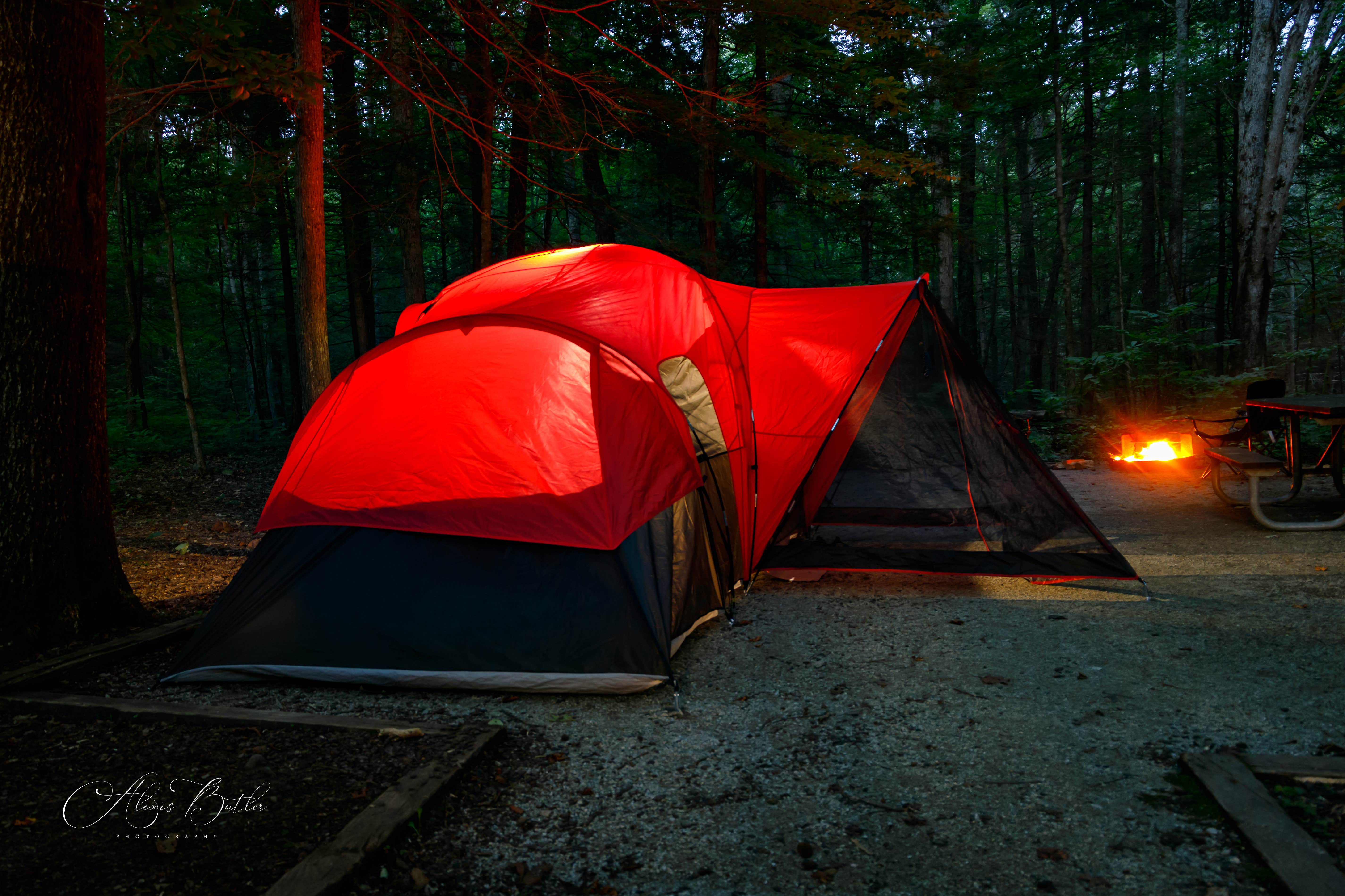 Alexis B.'s photo at Frozen Head State Park Campground near Harriman, TN