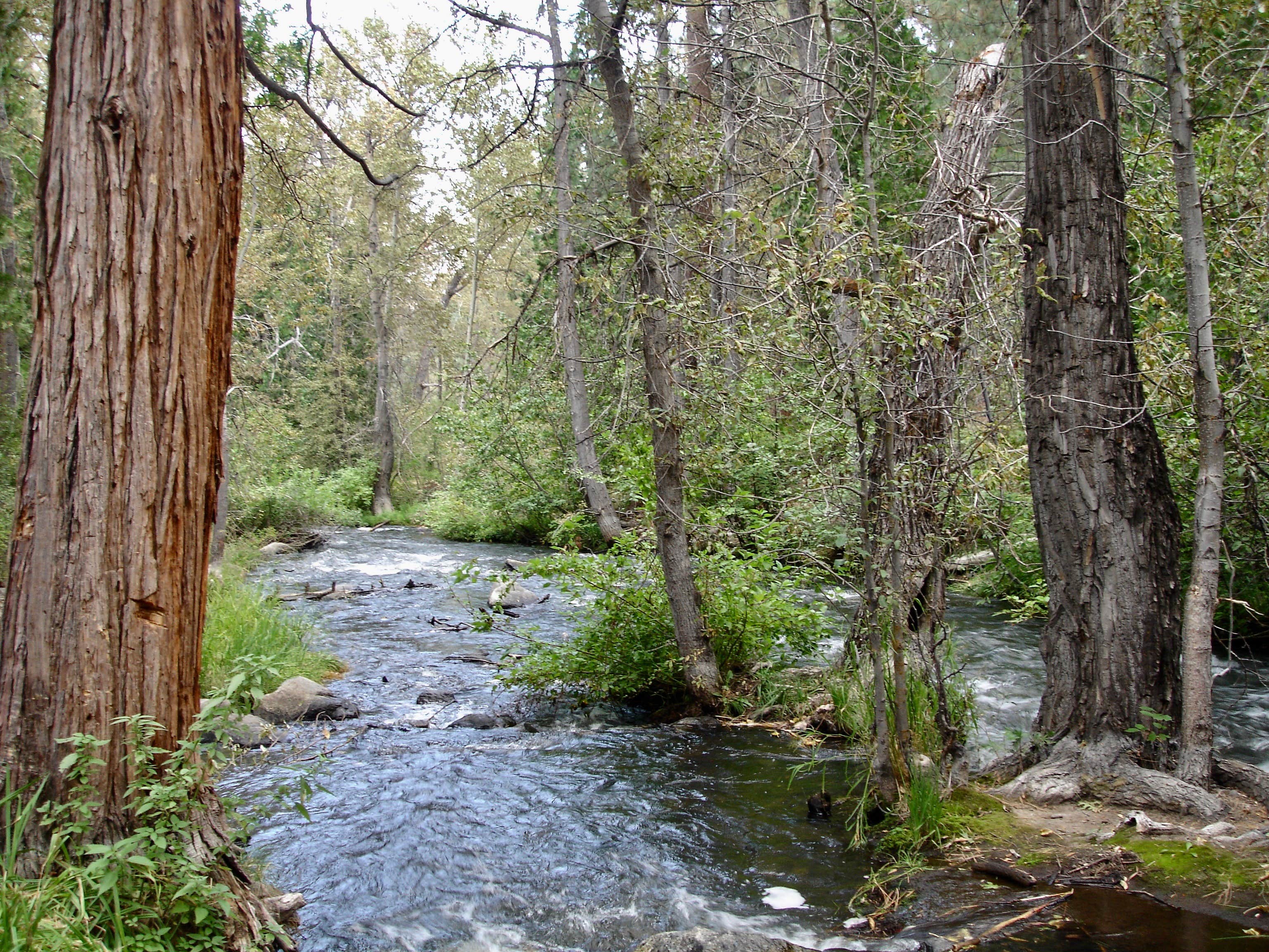 Chilcoot campground hotsell