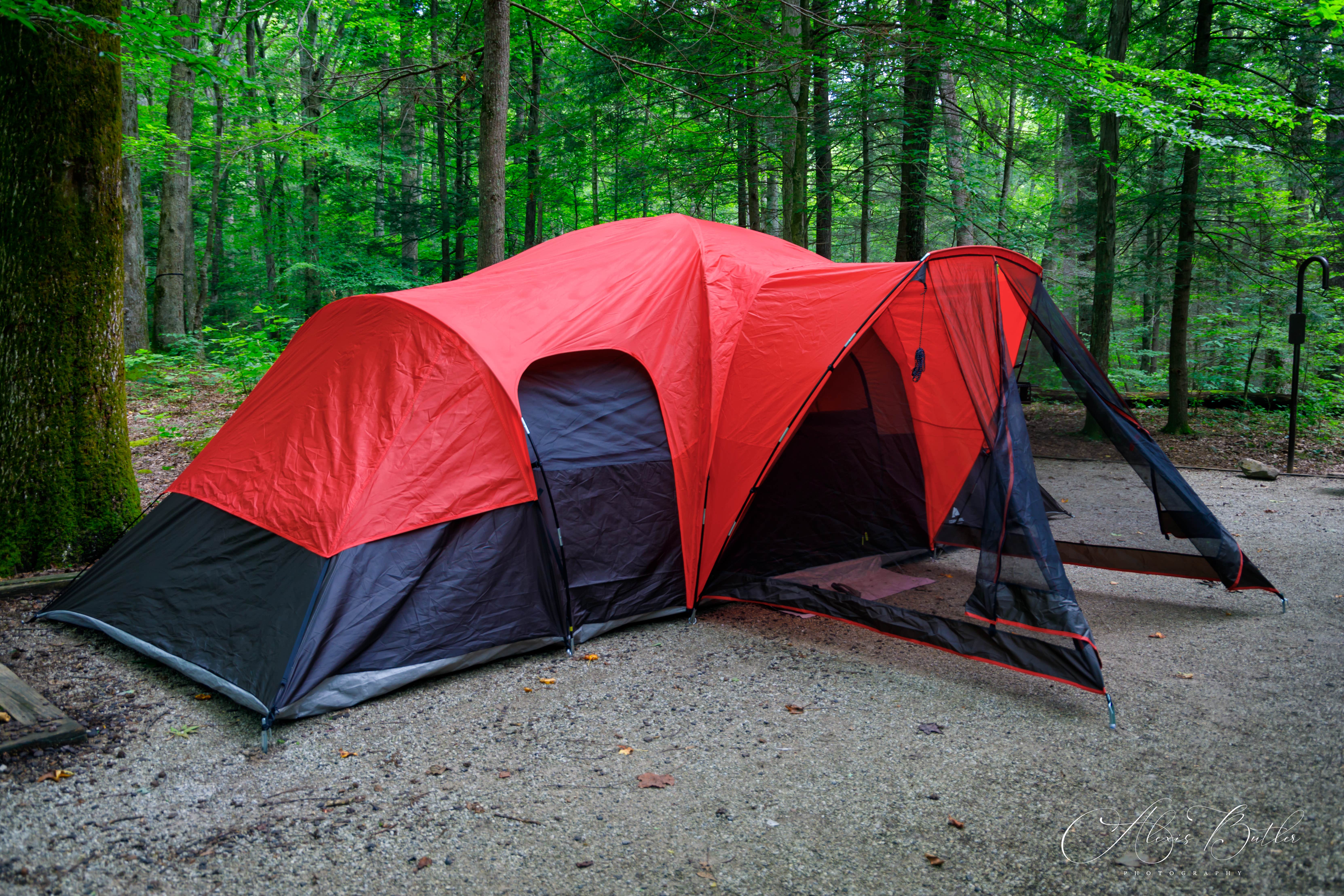 Alexis B.'s photo of tent camping at Frozen Head State Park Campground near Oneida, TN