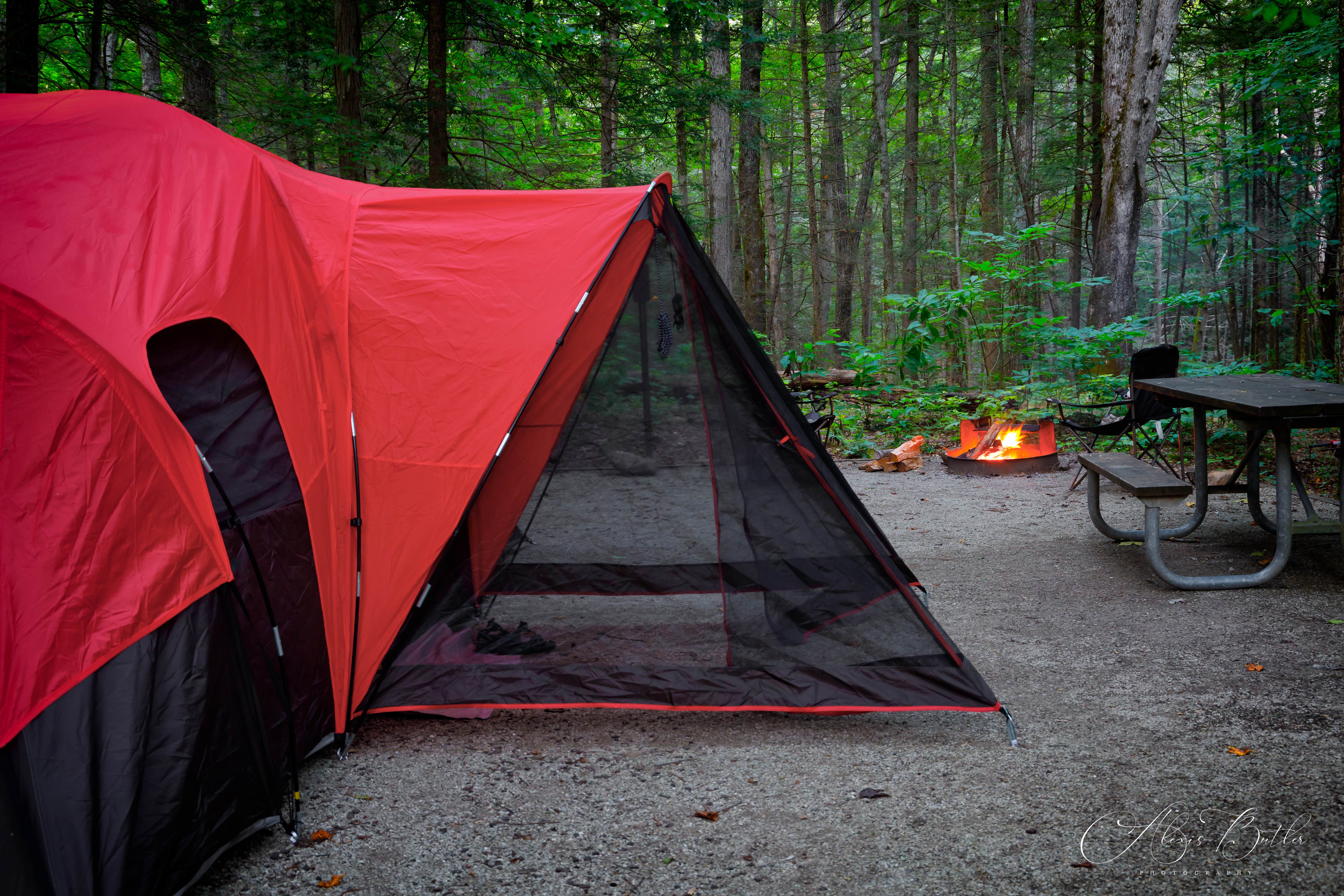Alexis B.'s photo at Frozen Head State Park Campground near Lake City, TN
