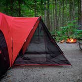 Review photo of Frozen Head State Park Campground by Alexis B., August 16, 2020