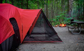 Alexis B.'s photo at Frozen Head State Park Campground near Robbins, TN