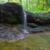 Review photo of Frozen Head State Park Campground by Alexis B., August 16, 2020